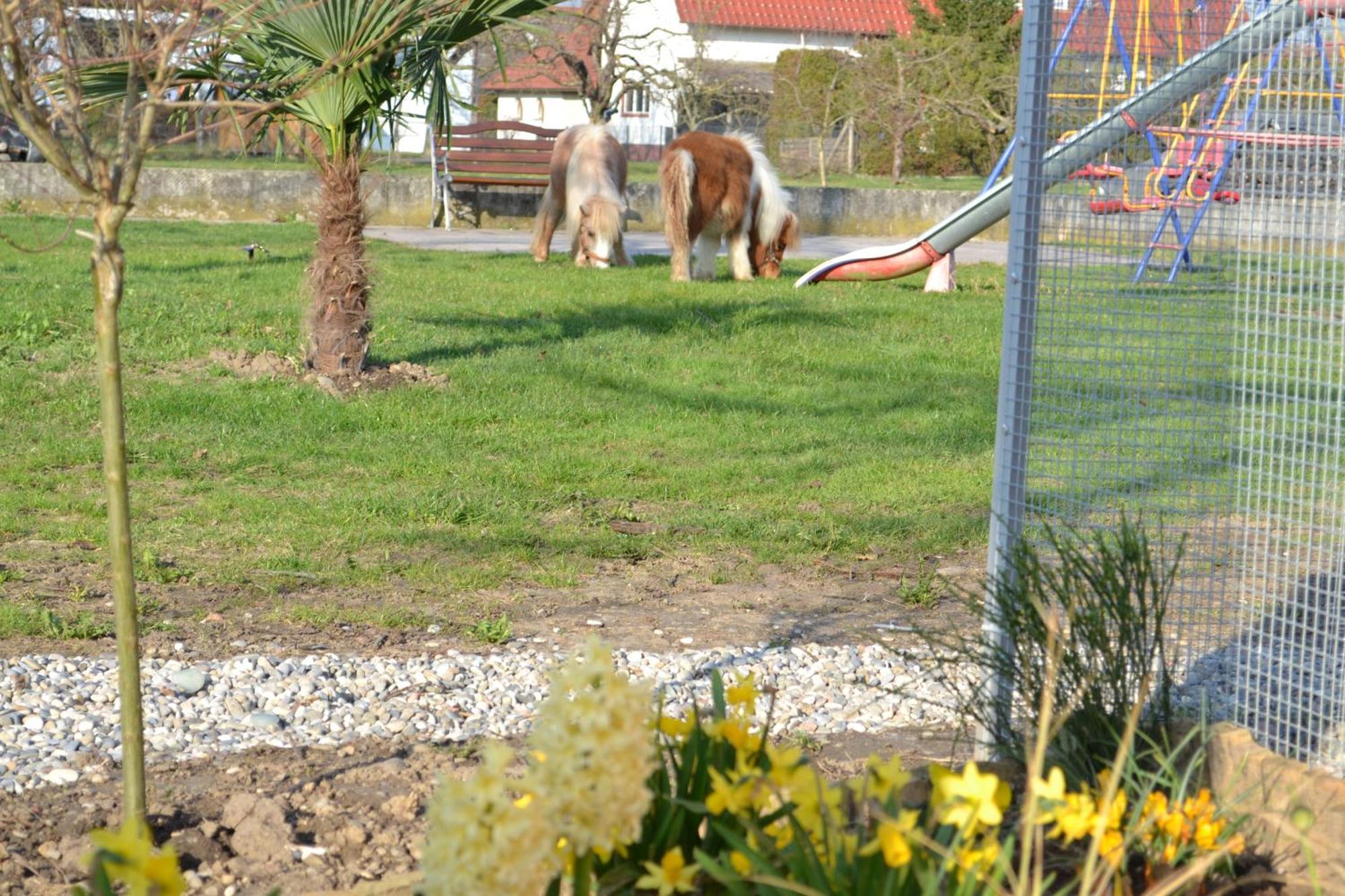 Hotel - Restaurant Hirschen - Werneths Landgasthof Beim Europa- Park Rust Rheinhausen Εξωτερικό φωτογραφία
